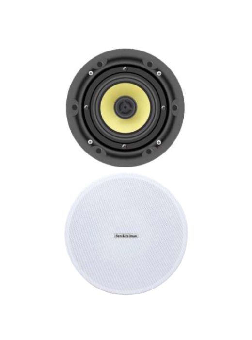 Speaker 5