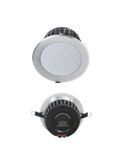 Speaker 2